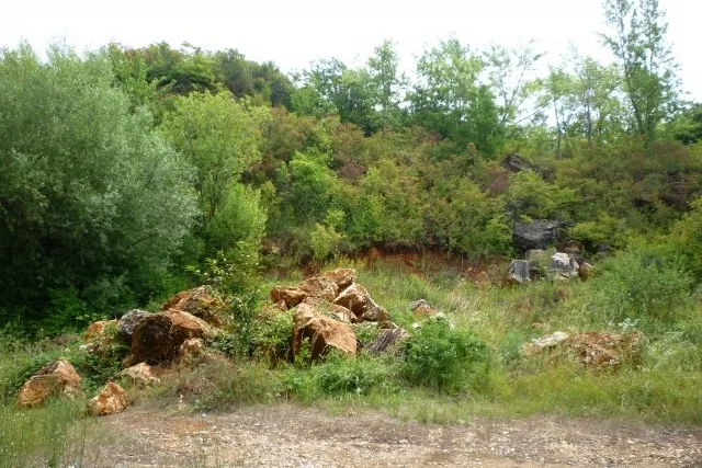 Fotogaléria
