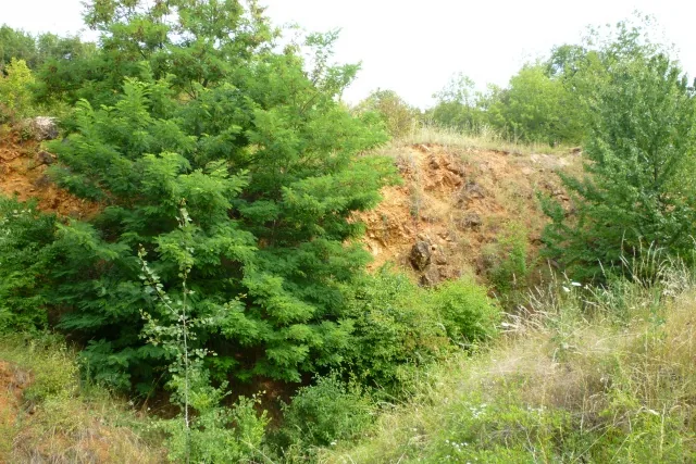 Fotogaléria